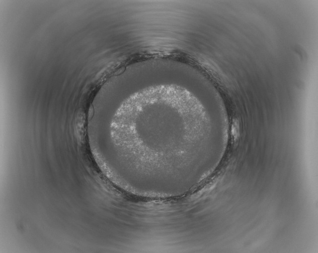 X0000111020867200907171853