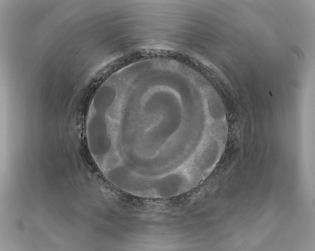 X0000111020870200907171853