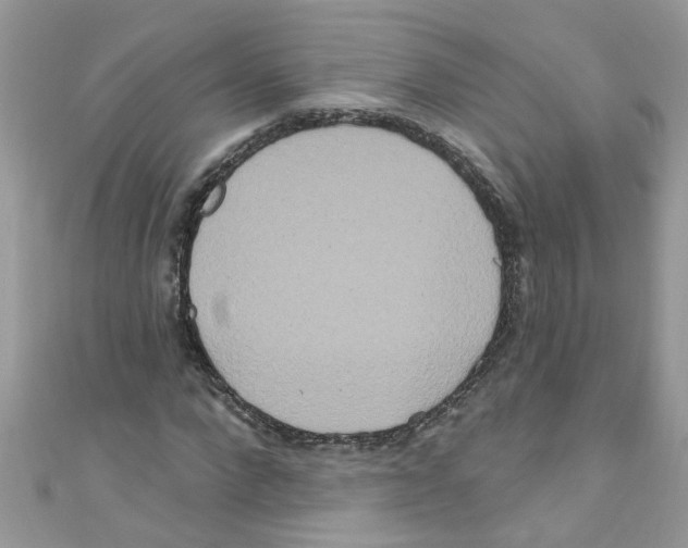 X0000111020872200907171853
