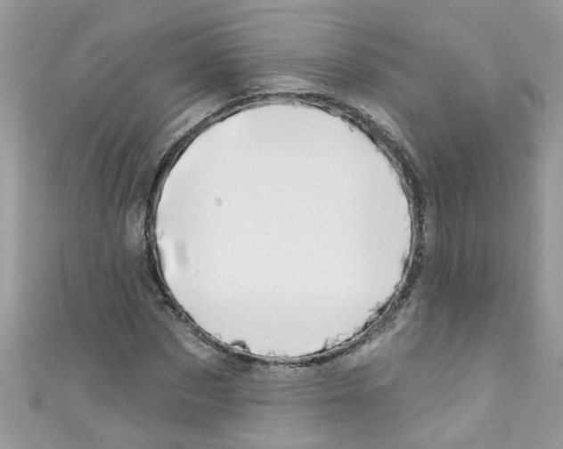 X0000111020873200907171853