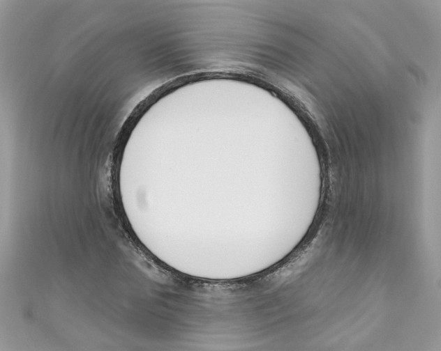X0000111020875200907171853