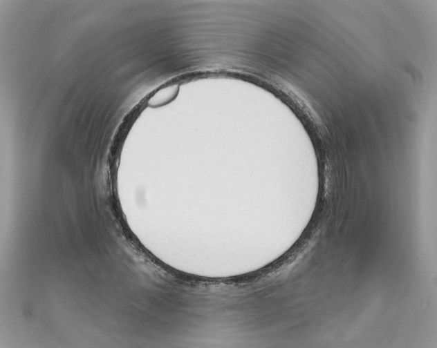 X0000111020876200907171853