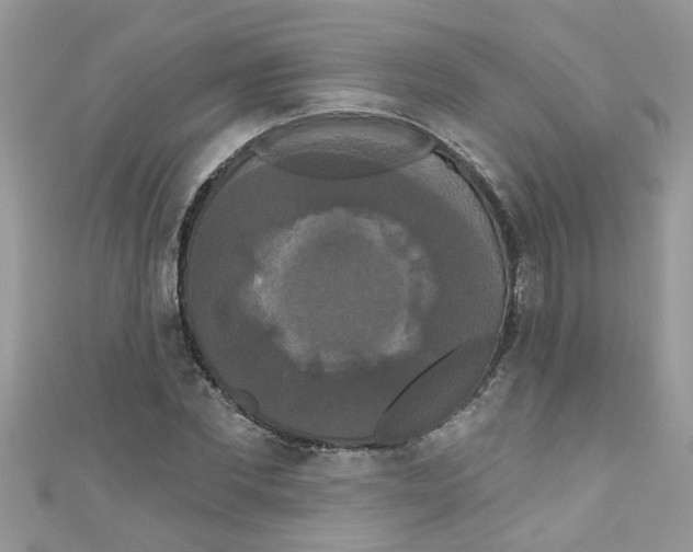 X0000111020877200907171853