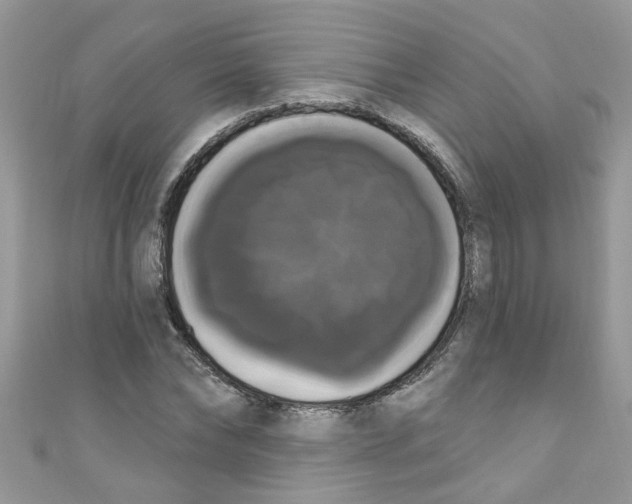 X0000111020878200907171853