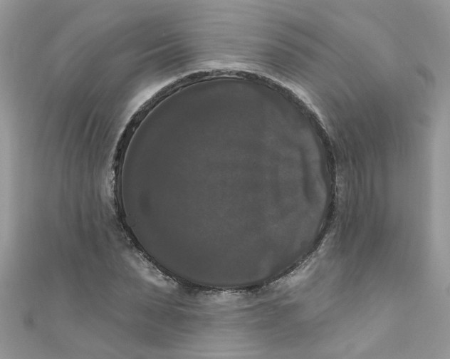 X0000111020879200907171853