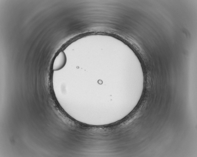 X0000111020880200907171853