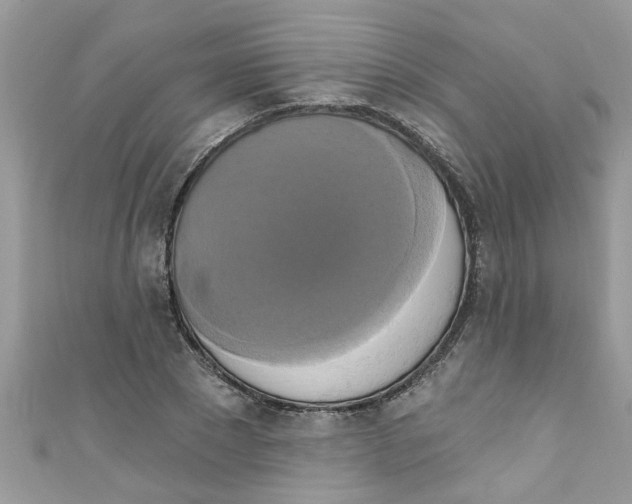 X0000111020881200907171853