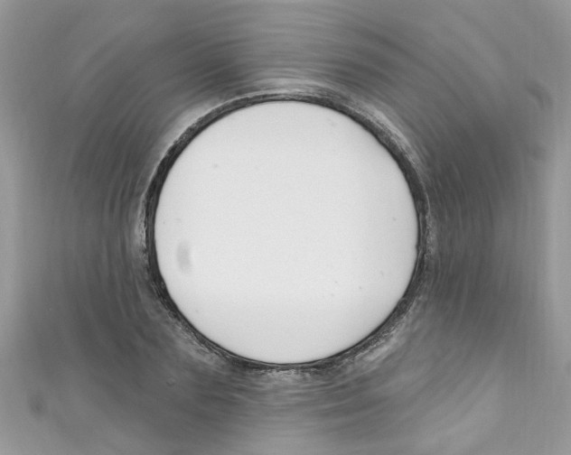 X0000111020883200907171853