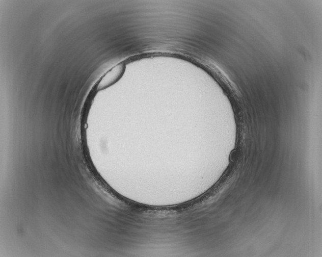 X0000111020884200907171853