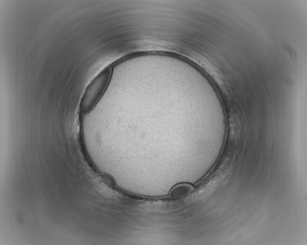 X0000111020885200907171853