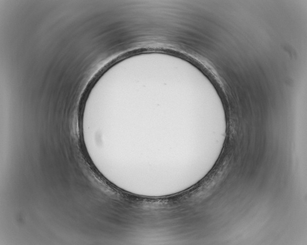 X0000111020887200907171853