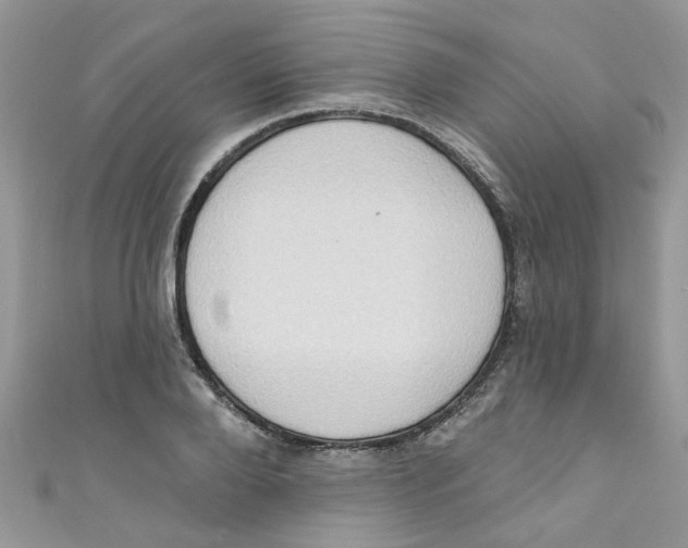 X0000111020888200907171853