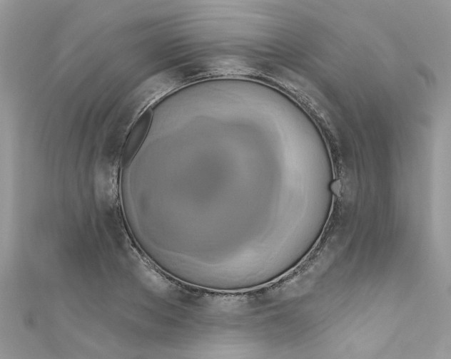 X0000111020889200907171853