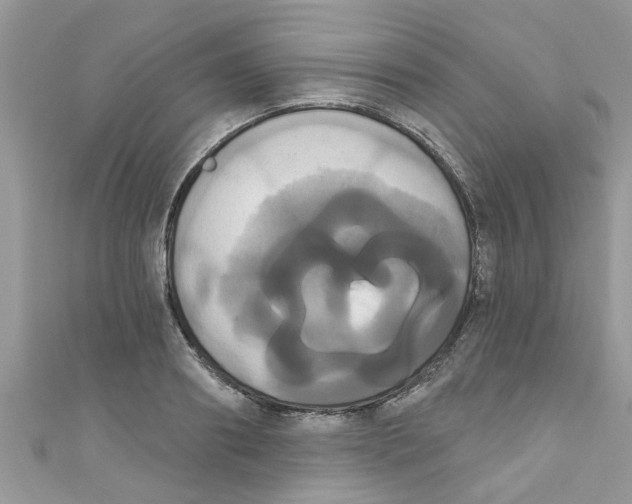 X0000111020890200907171853