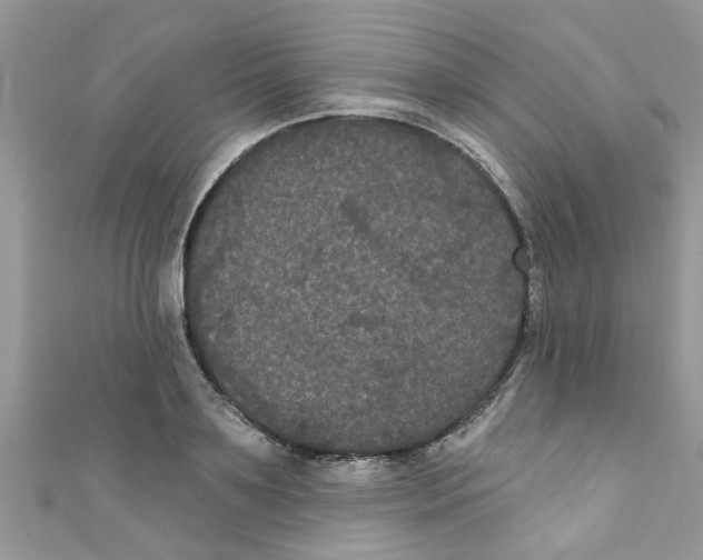 X0000111020891200907171853