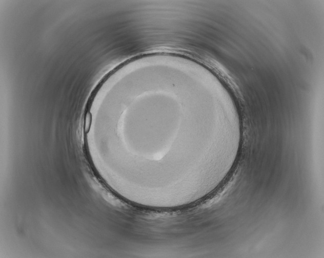 X0000111020892200907171853