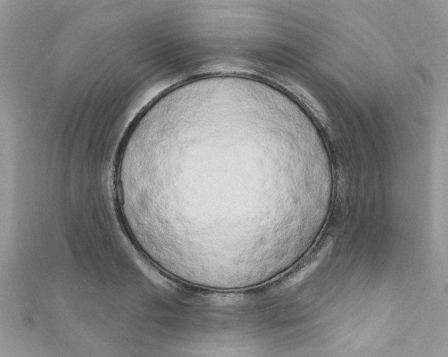 X0000111020893200907171853