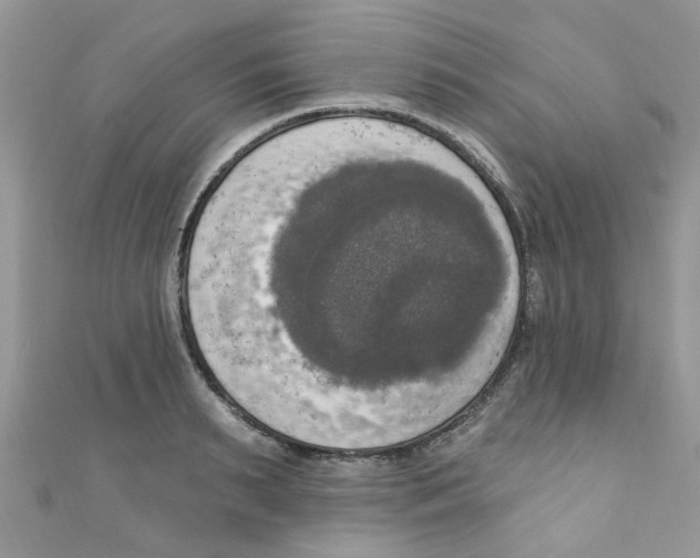 X0000111020895200907171852