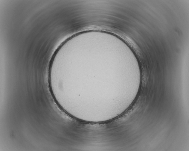 X0000111020896200907171852