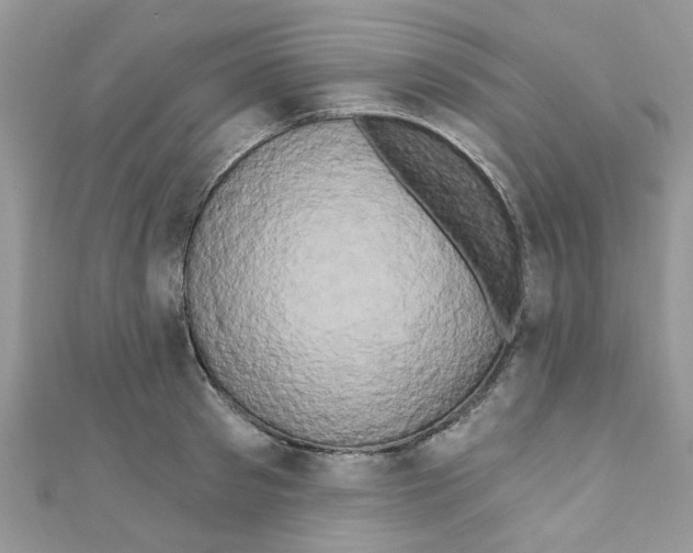 X0000111020897200907171852