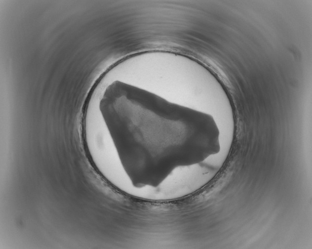 X0000111020899200907171852