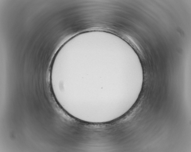 X0000111020900200907171852