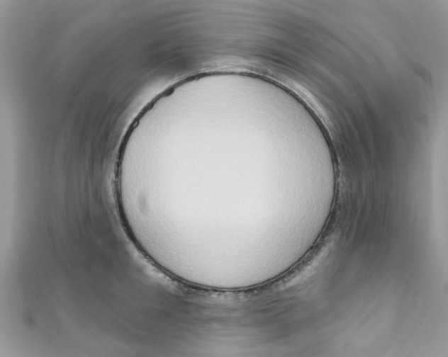 X0000111020901200907171852