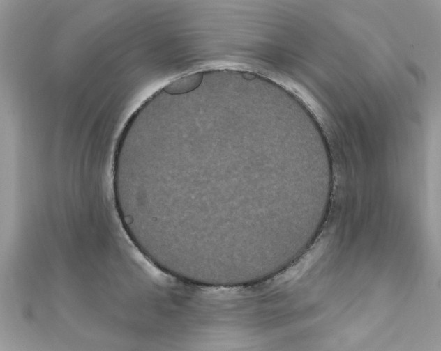 X0000111020902200907171852