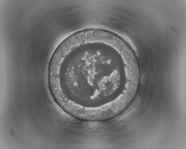 X0000111020903200907171852