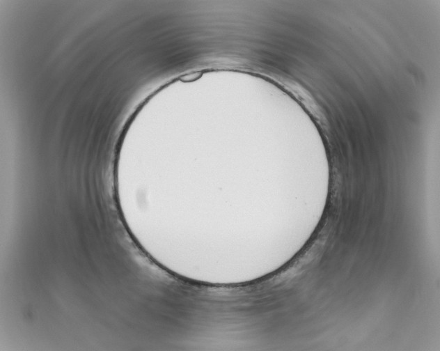 X0000111020904200907171852