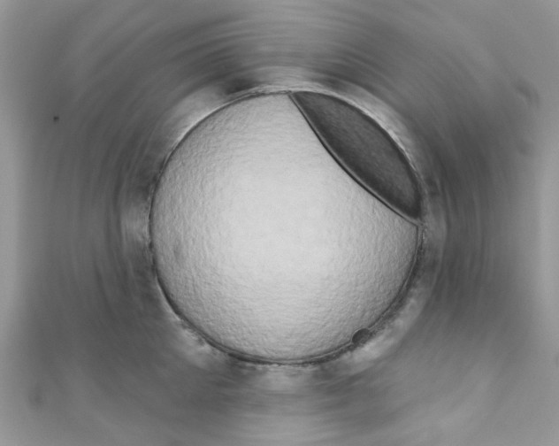 X0000111020905200907171852