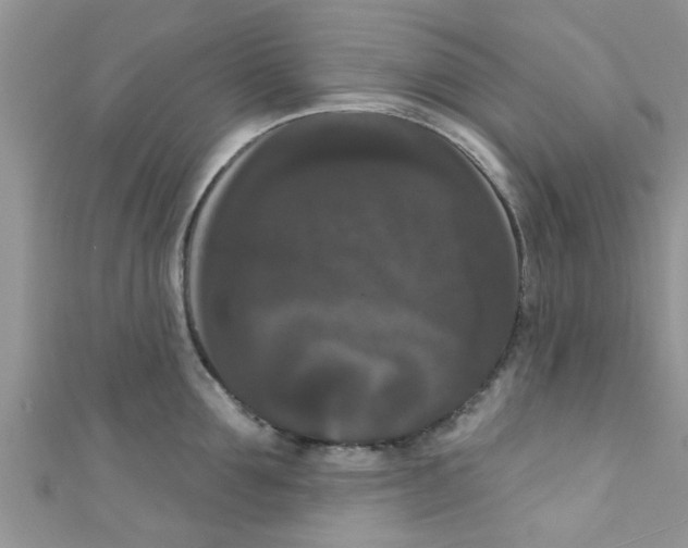 X0000111020907200907171852