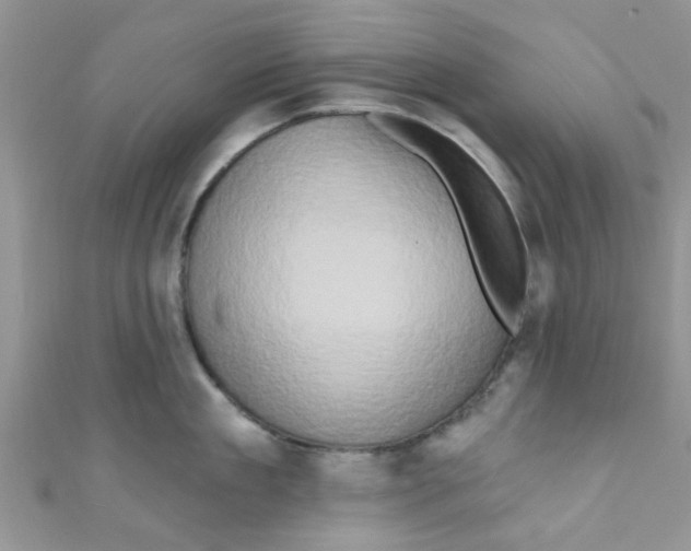 X0000111020909200907171852