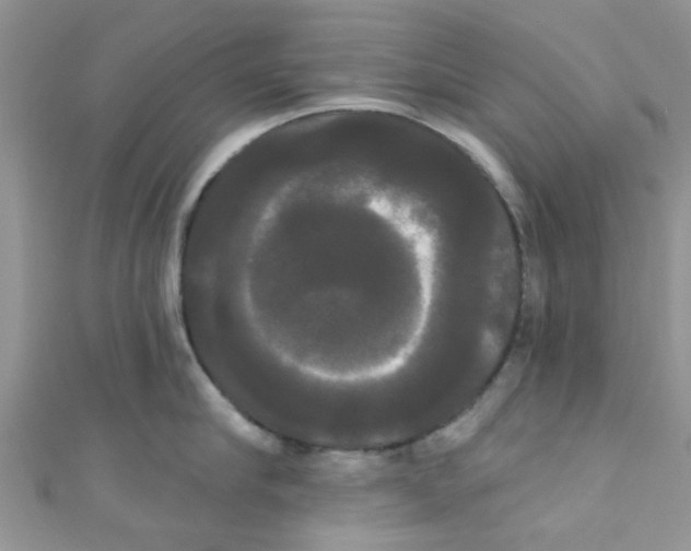 X0000111020910200907171852