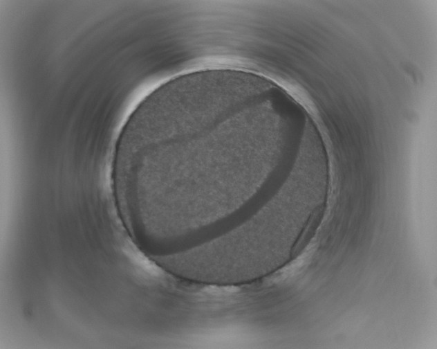 X0000111020912200907171852