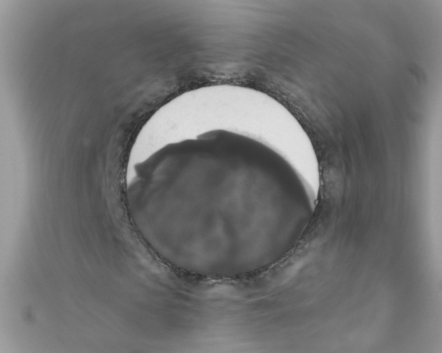 X0000111020913200907171852