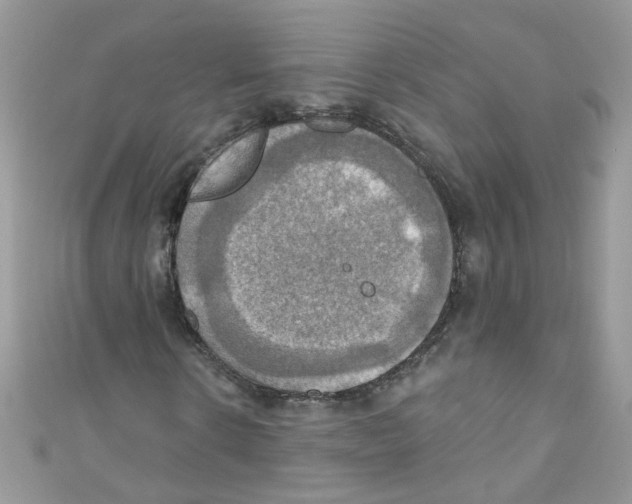 X0000111020914200907171852