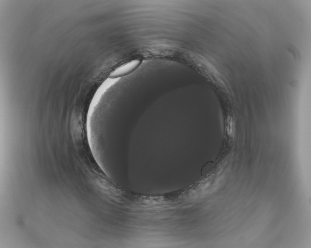 X0000111020915200907171852