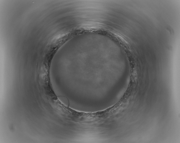 X0000111020917200907171852