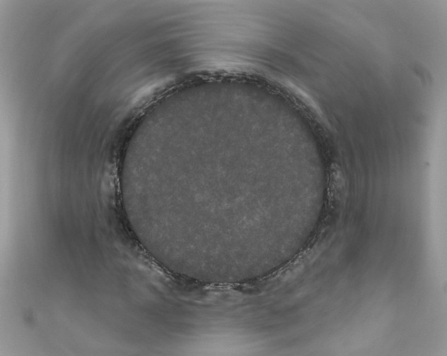X0000111020918200907171852