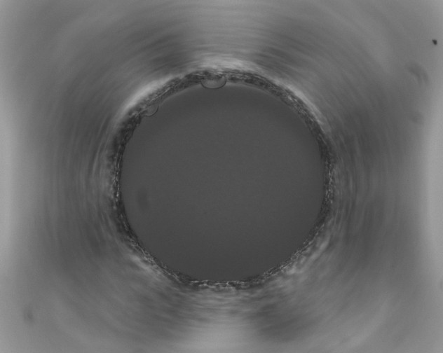 X0000111020919200907171852