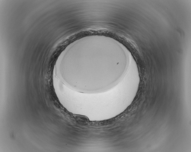 X0000111020920200907171852
