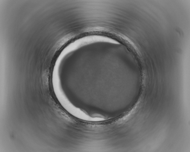 X0000111020921200907171852