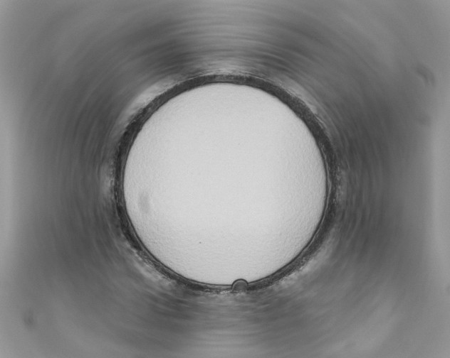 X0000111020922200907171852
