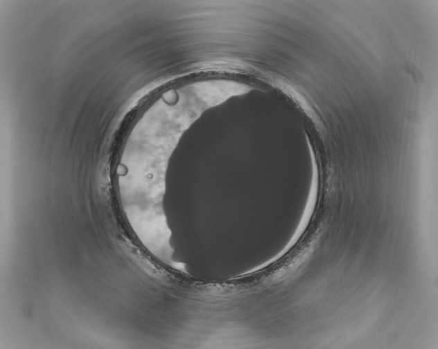 X0000111020923200907171852