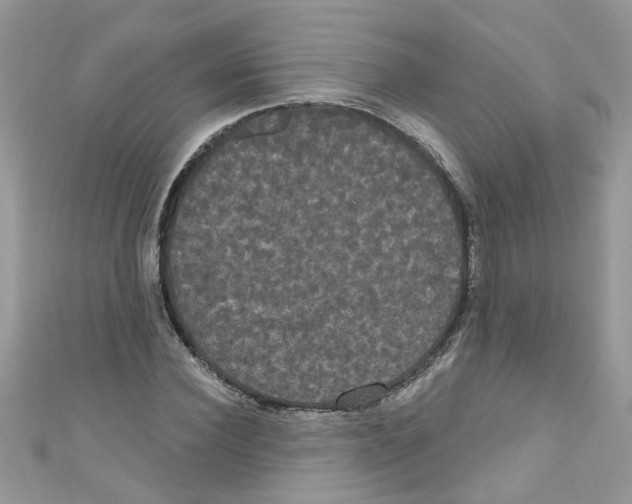 X0000111020924200907171852