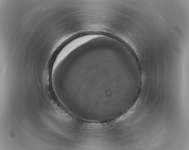 X0000111020925200907171852