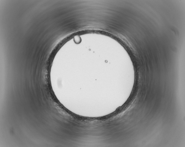 X0000111020926200907171852