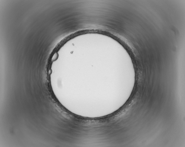 X0000111020927200907171852
