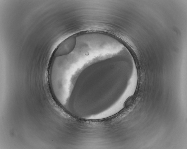 X0000111020928200907171852